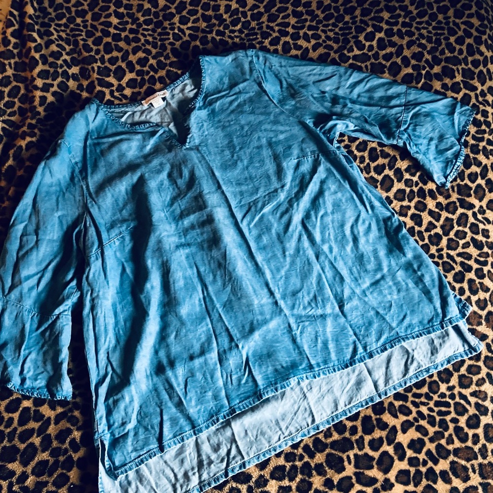 Women’s size 18 Coldwater Creek blue jean, bell sleeved blouse